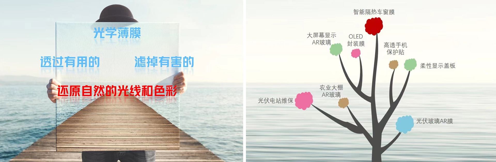 寧波美女免费网站APP入口免费新材料科技有限公司